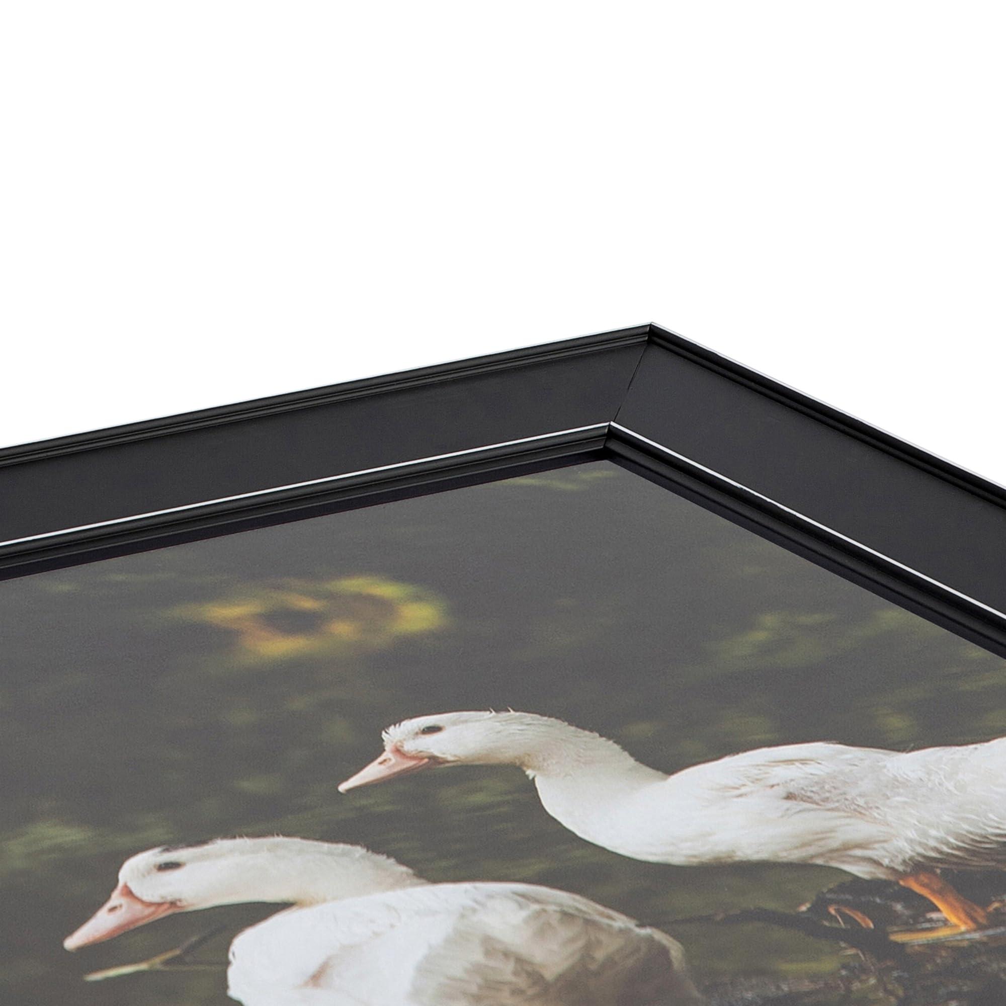 ArtToFrames ArtToFrames 9x12 Inch Black Picture Frame, 2 - Pack, This 1.75 inch Custom Wood Poster Frame is Honors Black with Silver, Comes with Regular Glass (Frame_Pack_2_D11148-9x12)