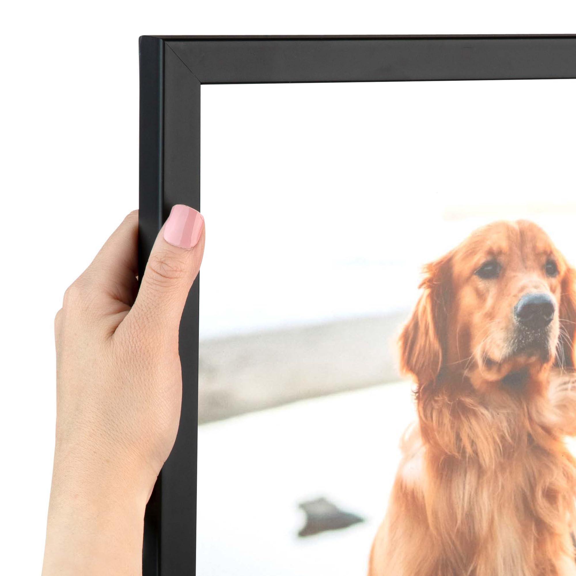 ArtToFrames ArtToFrames 18x24 Inch Black Picture Frame, This 0.75 Inch Custom Wood Poster Frame is Satin Black Short - Comes with Foam Backing 3/16 inch and Regular Acrylic (FBPL10010-18x24)
