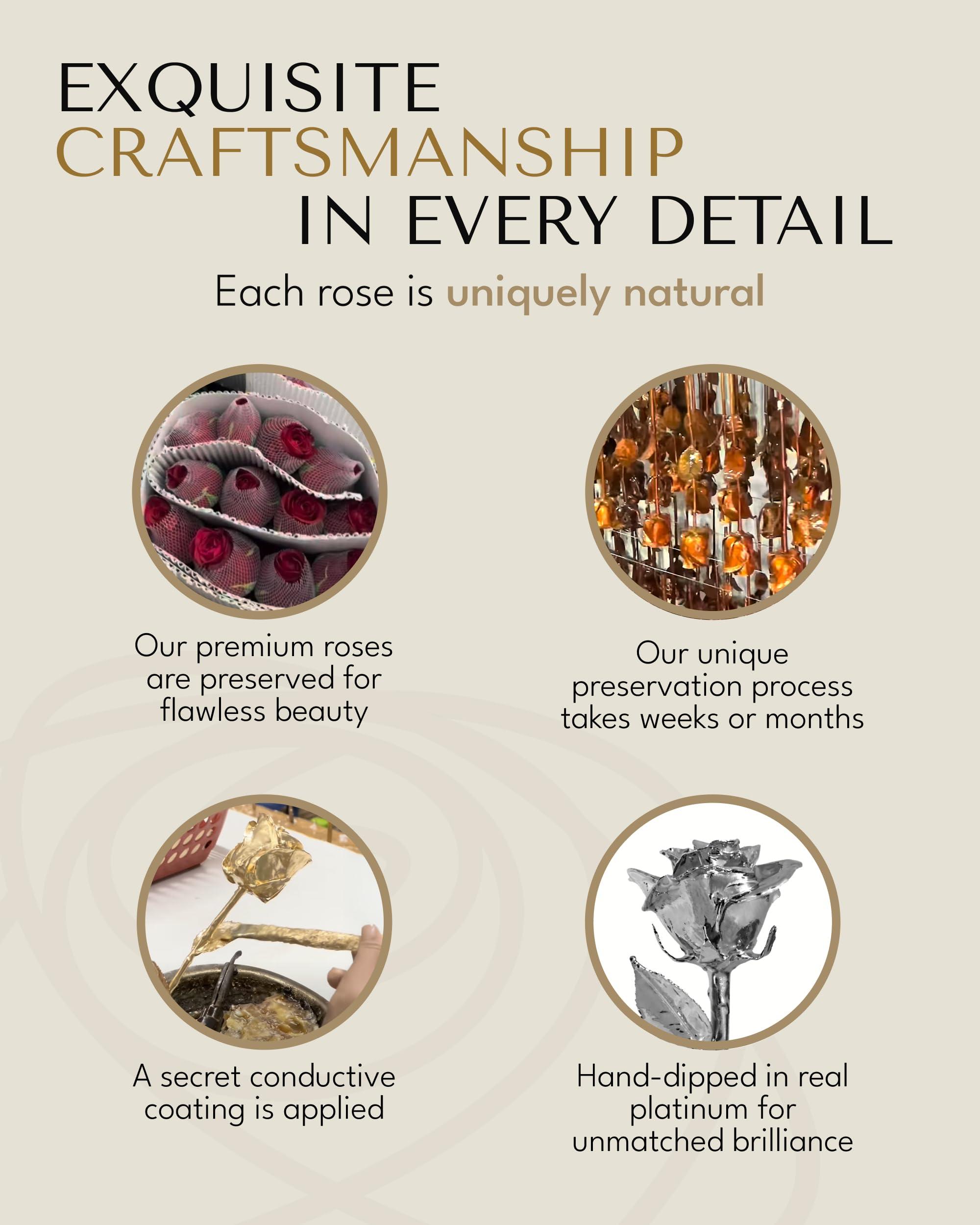 Forever Rose Forever Rose Real Platinum Rose, Genuine, One of A Kind, Hand Dipped & Everlasting Platinum Dipped Real Rose, Beautiful Forever Flower, Ideal Anniversary, and Romantic Valentine\'s Day Gifts for Women