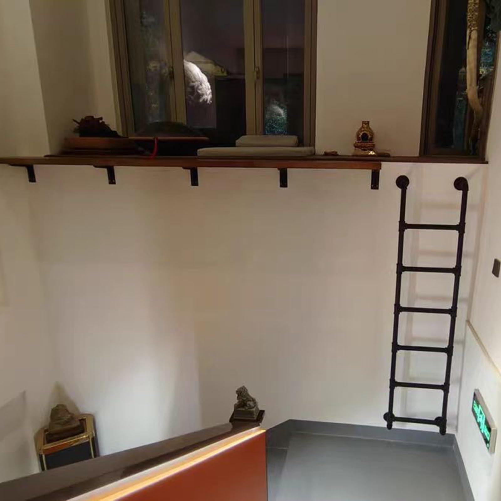 LXLZYXSF Basement Window Well Egress Ladder, Attic / Yard Wall Ladder Wrought Iron, Escape Ladder Bunk Bed Ladder with Screws, 230 220 210 200 190 180 170 160 150 140 130 120 110 100 cm High ( Color : Black ,