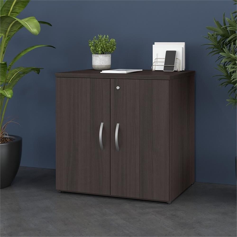 Bush Furniture Bush Business Furniture Studio C Office Storage Cabinet with Doors in, Storm Gray