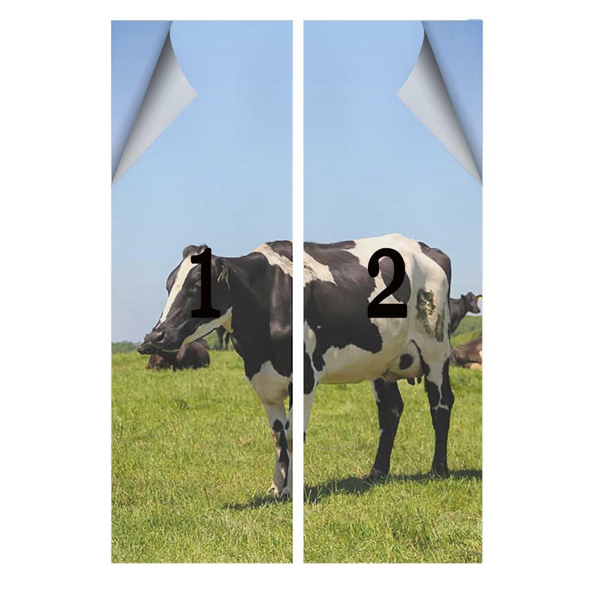 GEBILIUSHI Window Film for Sun Blocking Home Privacy One Way Tinting Film Heat Control Mirror Anti UV for Home and Office Cow Green Grass Blue Green 23.6Wx59L-inch x2 Pcs