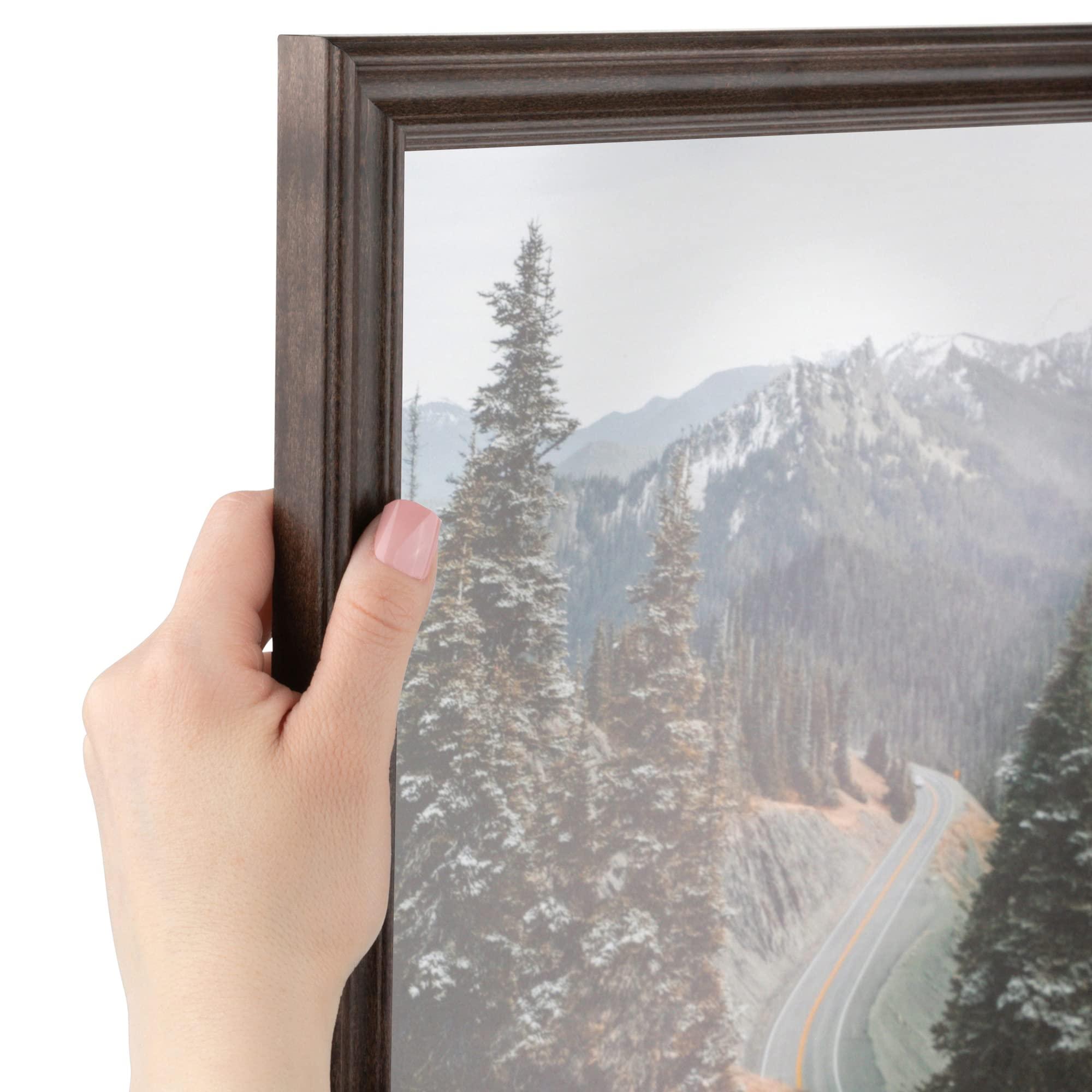 ArtToFrames ArtToFrames 12x14 Inch Brown Picture Frame, 3 - Pack, This 1.00 inch Custom Wood Poster Frame is Walnut, Comes with Regular Glass (Frame_Pack_3_0066-60823-YWAL-12x14)