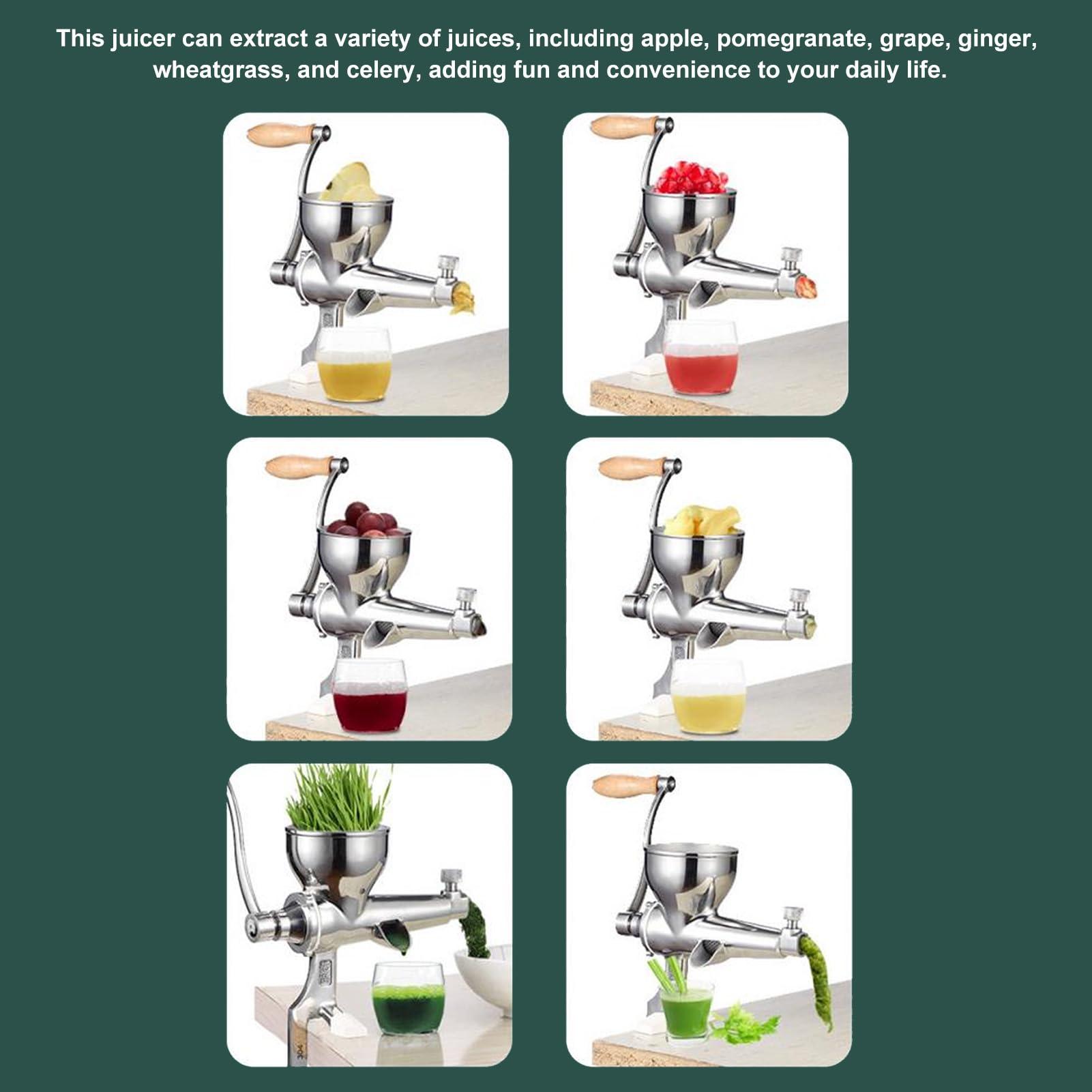 Asixxsix Asixxsix Manual Wheatgrass Juicer, Stainless Steel Manual Juicer Fruit Vegetables Squeezer Tabletop Clamp Manual Juicer Extractor for Ginger Celery Grape, Wheatgrass Grinder
