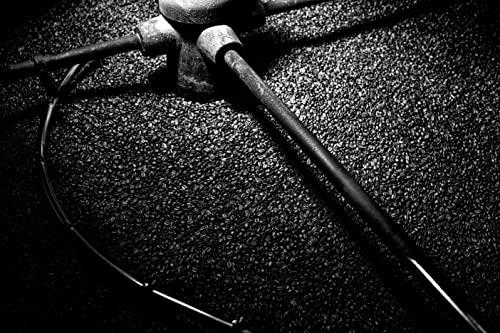 Bristot Bristot Tiziano Premium Quality Italian Coffee Beans | Italian Espresso Beans Whole | | 2.2 lb/1kg