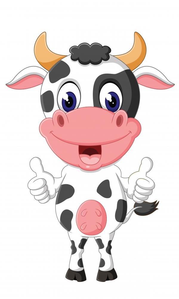 Generic Sunset At The Point, Skyline Drive, Shenandoah National Park