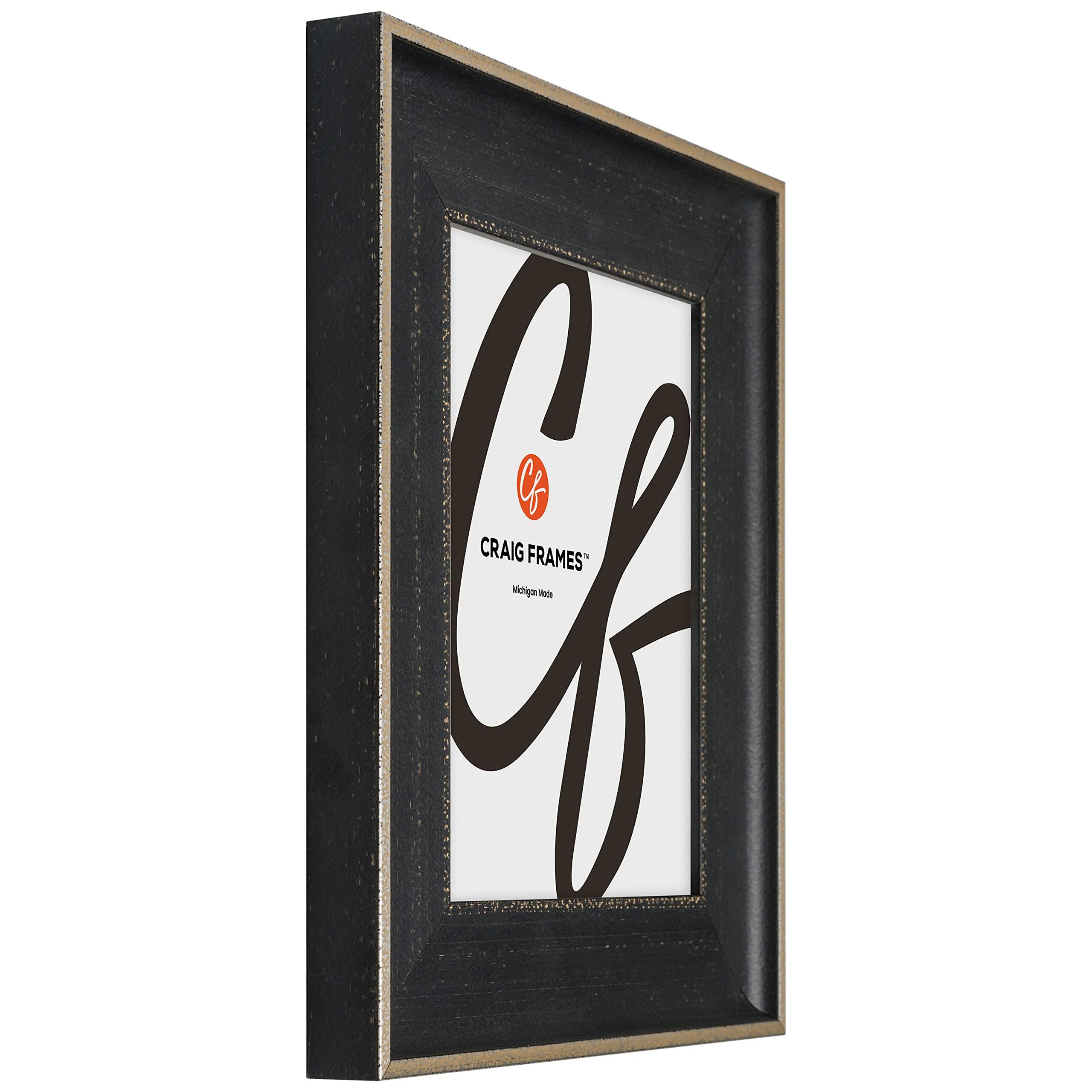 Craig Frames Craig Frames Cairo, 16x20 Picture Frame, Black
