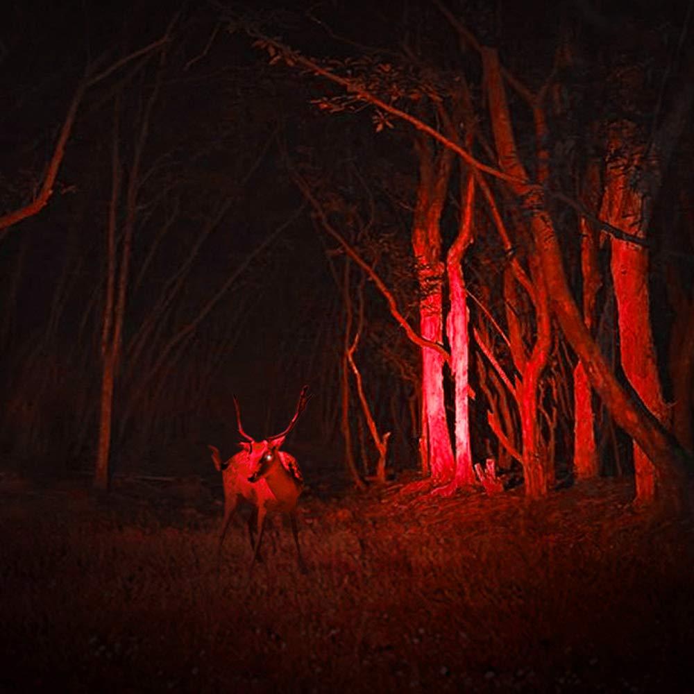 AR happy online AR happy online 3 Pack Red Light Flashlight, 3 Modes Mini Red LED Flashlight, Zoomable Red Flashlight Torch with Clip for Night Vision, Astronomy, Aviation, Night Observation