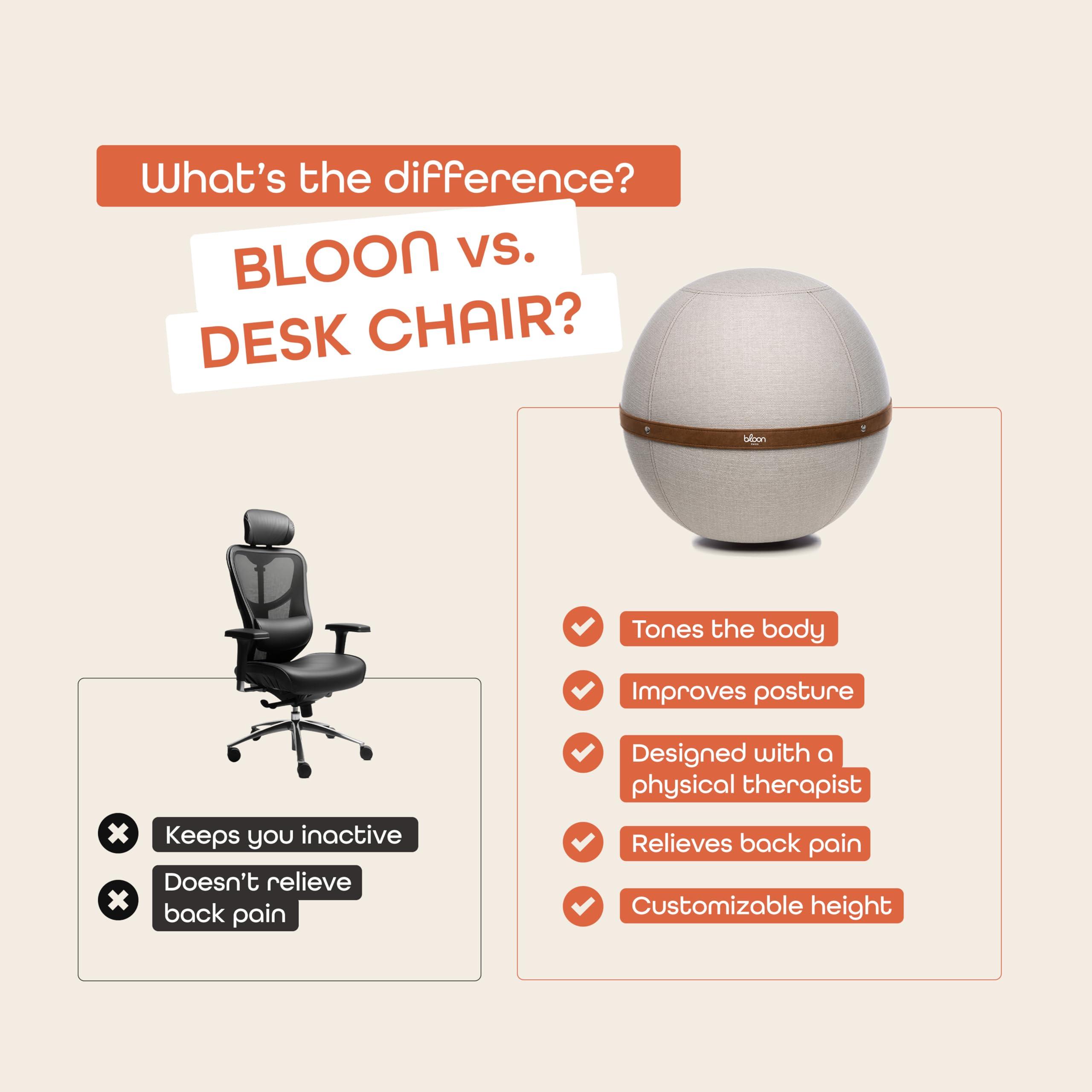 Bloon Paris Bloon Paris Ergonomic Sitting Ball Chair - Premium Desk Chair for Home and Office with Active Seating - Durable & Stylish Balance Ball Chair - Grey Platinium - Regular Size