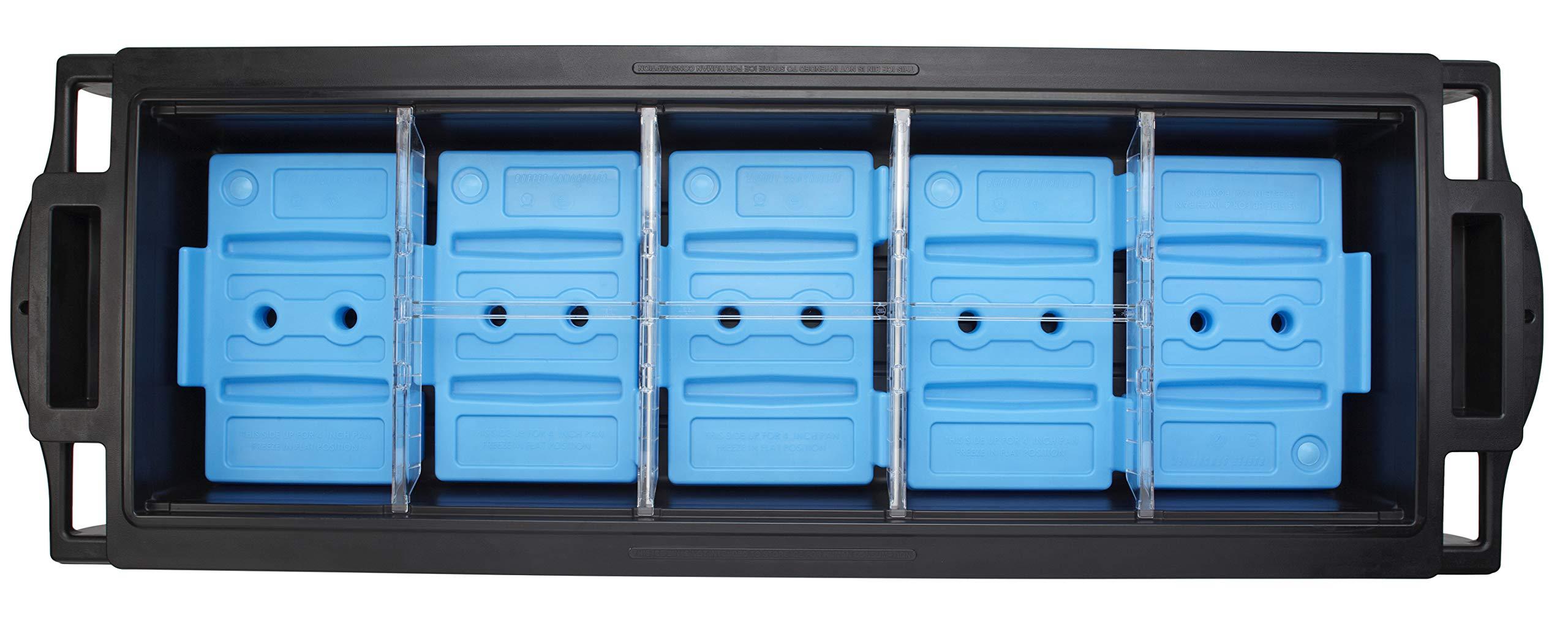 Cambro Cambro DIV20135 Clear 20\" Food Pan Divider Bar Case of 3