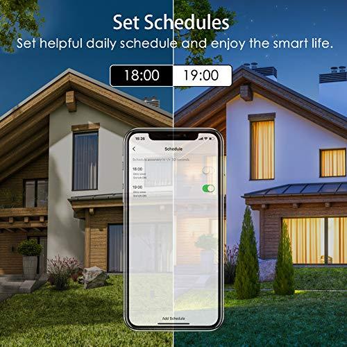 Avatar Controls Avatar Controls Smart WiFi Light Bulb, Alexa Color Changing LED Bulbs RGBCW Works with Google Home Smart Life App, No Hub Required(8W=70W) 1 Pack, E26 8W