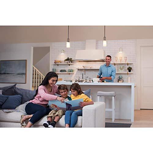 Lutron Lutron Diva LED+ Dimmer Switch for Dimmable LED, Halogen and Incandescent Bulbs, 250W/Single-Pole or 3-Way, DVCL-253P-BL, Black