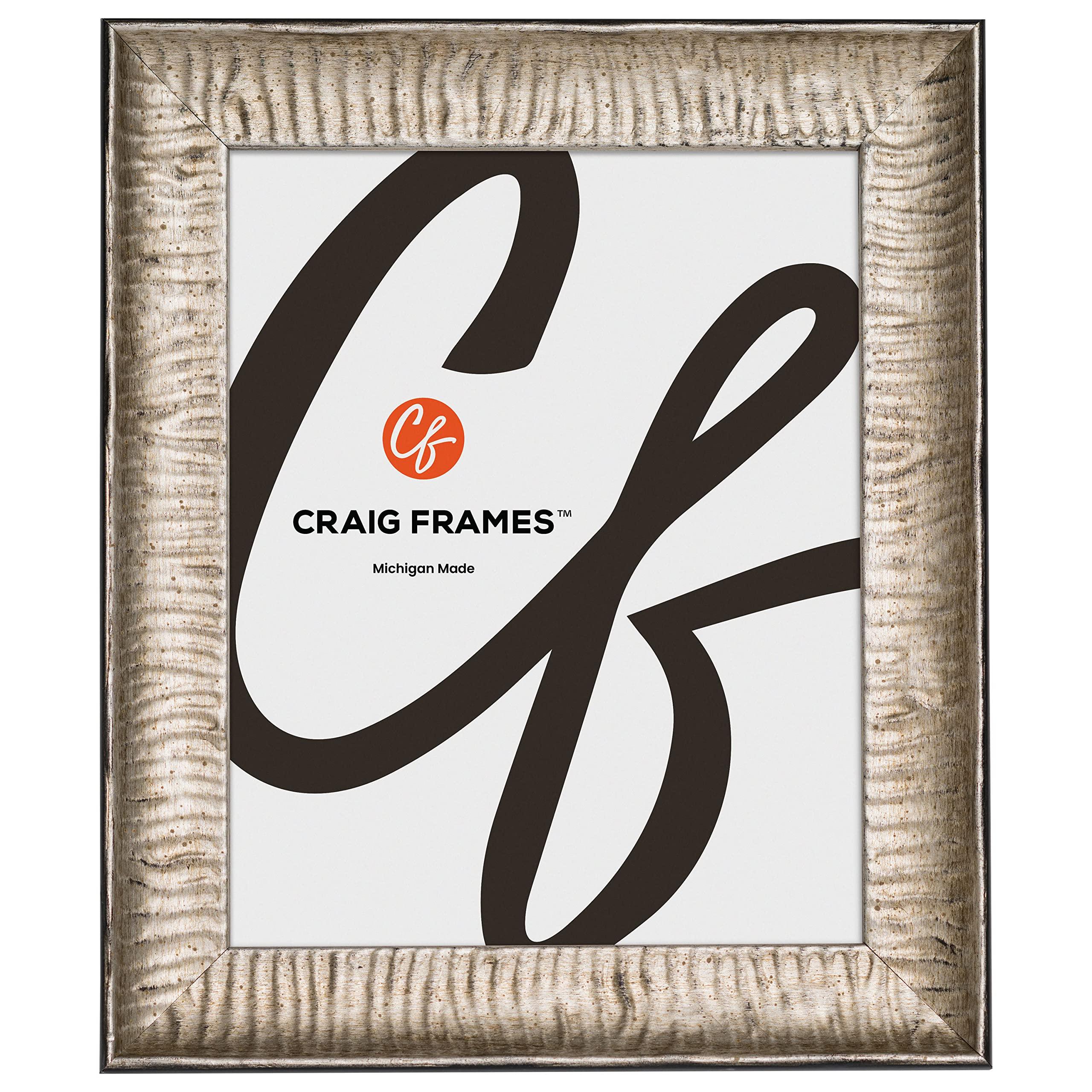 Craig Frames Craig Frames Safari, 11x15 Picture Frame, Silver