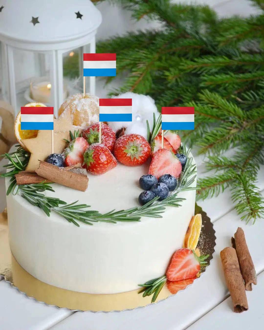 stidsds stidsds 100 Pcs Luxembourg Flag Luxembourgers Toothpick Flags Mini Small Luxembourg Cupcake Toppers Stick Flags Banner Party Cocktail Fruit Decoration