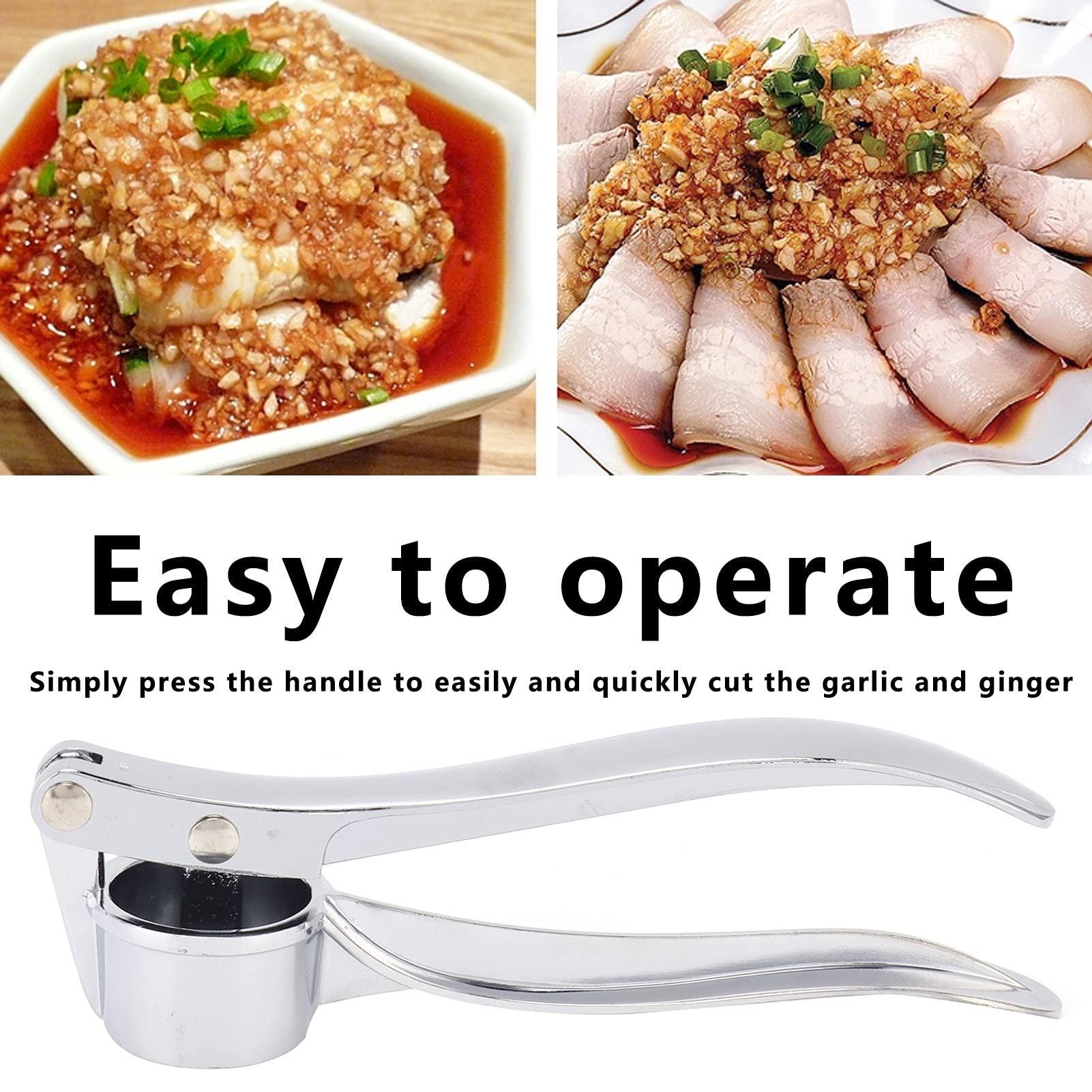 Gavigain Garlic Press, Garlic Mincer, Stainless Steel Garlic Press Professional Easy Clean Garlic Mincer Crusher for Home Kitchen