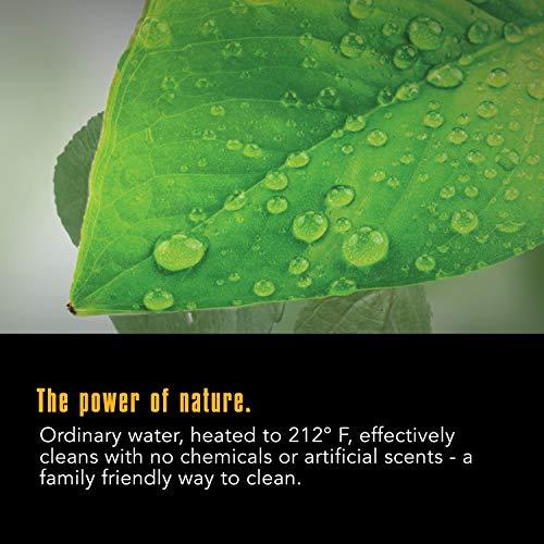 McCULLOCH McCulloch MC1385 Deluxe Canister Steam Cleaner with 23 Accessories, Chemical-Free Pressurized Cleaning for Most Floors, Counters, Appliances, Windows, Autos, and More, 1-(Pack), Black