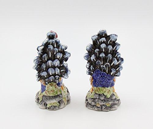 Appletree Design Appletree Design Barn Yard Rooster Salt and Pepper Set, 4-1/2-Inch