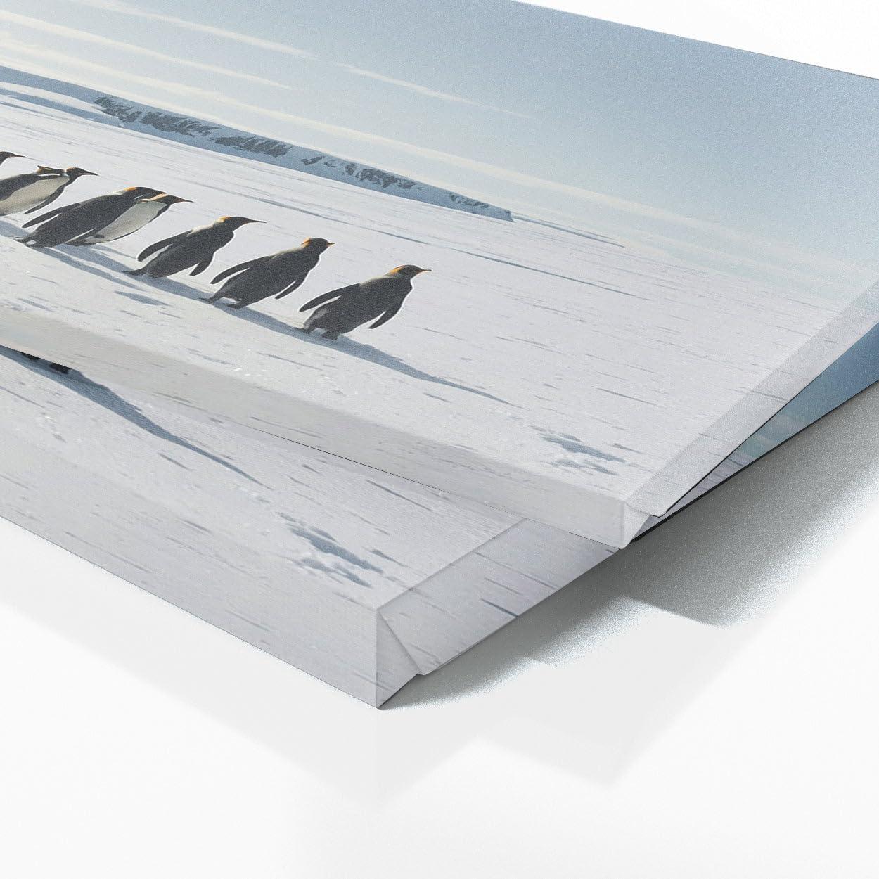 Sense Canvas Sense Canvas Penguin Odyssey 111 Canvas Art - Home Decor Wall Art Print Poster Painting Small 20x8 / 0.75\"