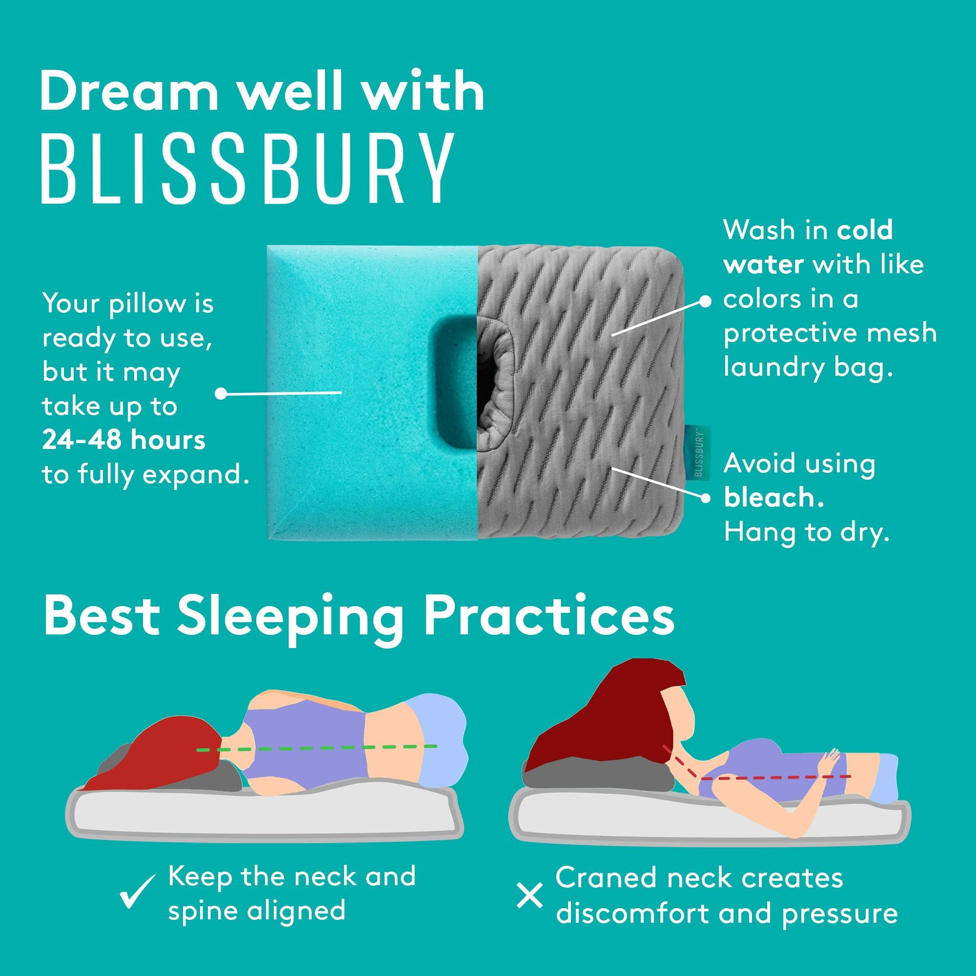 BLISSBURY BLISSBURY Mini Ear Pillow | Ear Piercing Pillow for Side Sleeping | Travel Friendly CNH Pillow with Ear Hole | Soothing Hole for Ear Pain | Piercing Health & Ear Recovery for Side Sleepers | Donut Ear