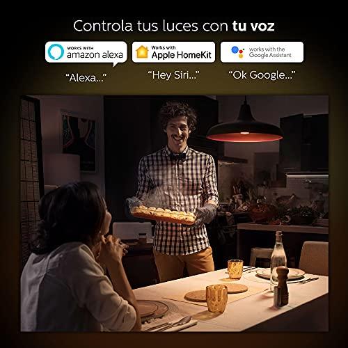 Philips Hue Philips Hue 2-Pack White Ambiance BR30 60W Equivalent Dimmable LED Smart Flood Light (Works with Alexa Apple and Google Assistant) (466508)