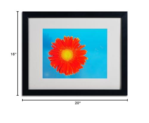 (Miyazaki Seisakusho) Miyazaki Seisakusho JN-16B Ten Pot Sauce Pot, 6.3 inches (16 cm), Made in Japan, Induction Compatible, All Heat Sources, Waterless, Surheat Cooking