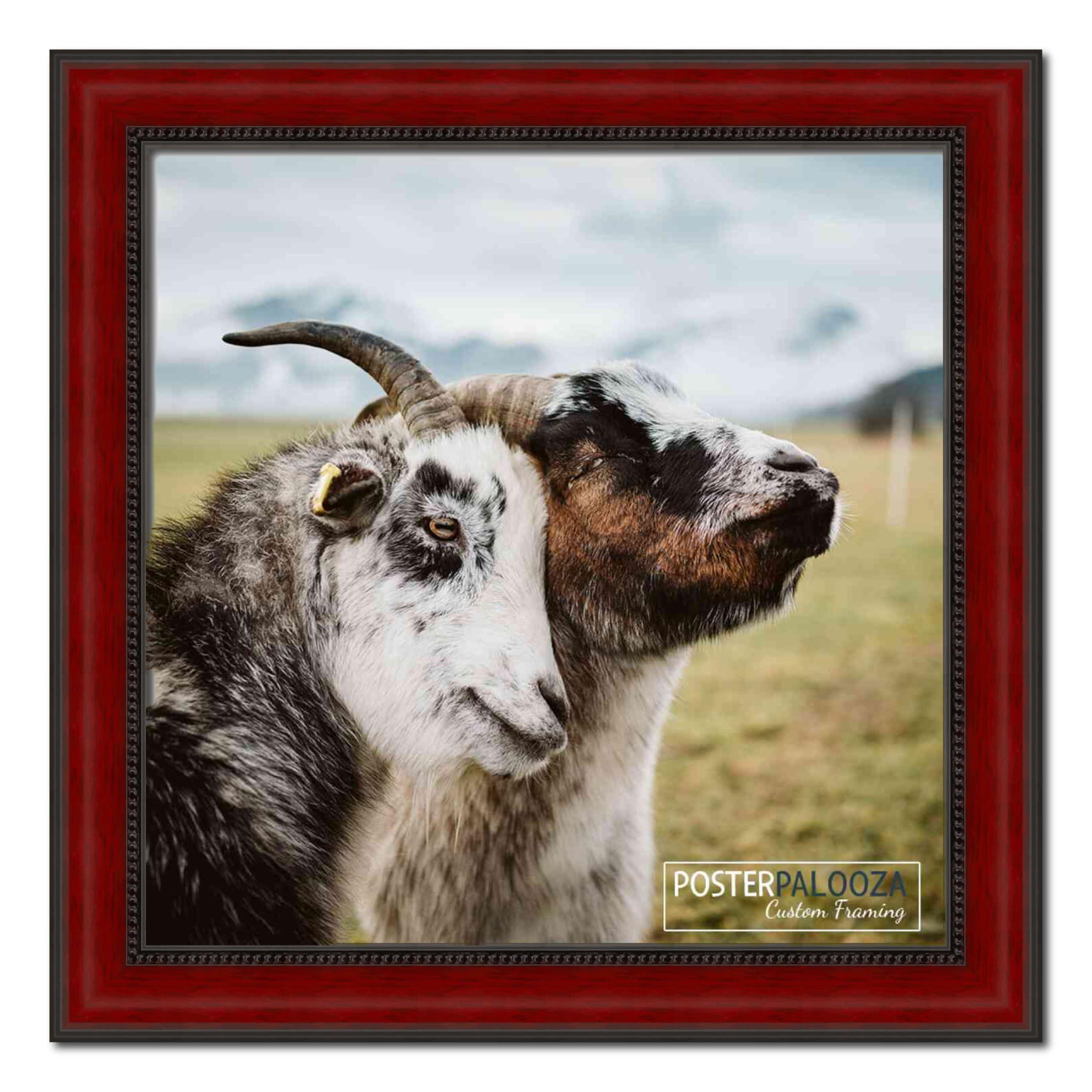 Poster Palooza Poster Palooza 13x18 Frame Brown Cherry Solid Wood Picture Frame | 1.75 Inch Moulding Width | with UV Acrylic Plexiglass, Foam Board Backing & Hanging Hardware Included