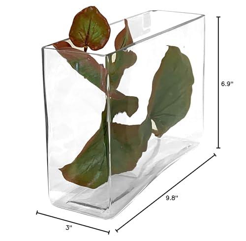 WGVI WGV Long Rectangle Block Vase, Width 3", Length 10", Height 7", Clear Glass Floral Container Wedding Party Event Home Office Decor, 1 Piece