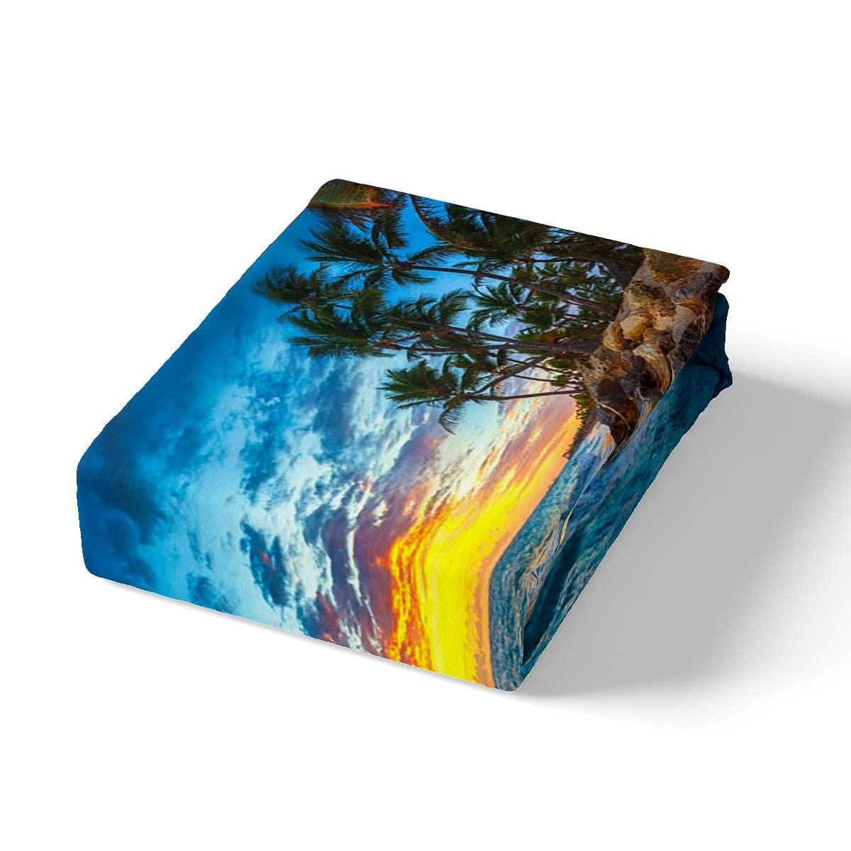 Erosebridal Beach Duvet Cover Full Ocean Bedding Kids Girls Boys Hawaiian Sea Waves Comforter Cover Tropical Sunset and Sea Beach Nature Theme Print bedding Botanical Beach House Decorative Bedspread with Zipper