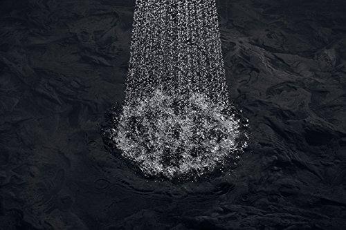 Kohler KOHLER K-17493-SN Flipside 01 Multifunction Handshower, Vibrant Polished Nickel