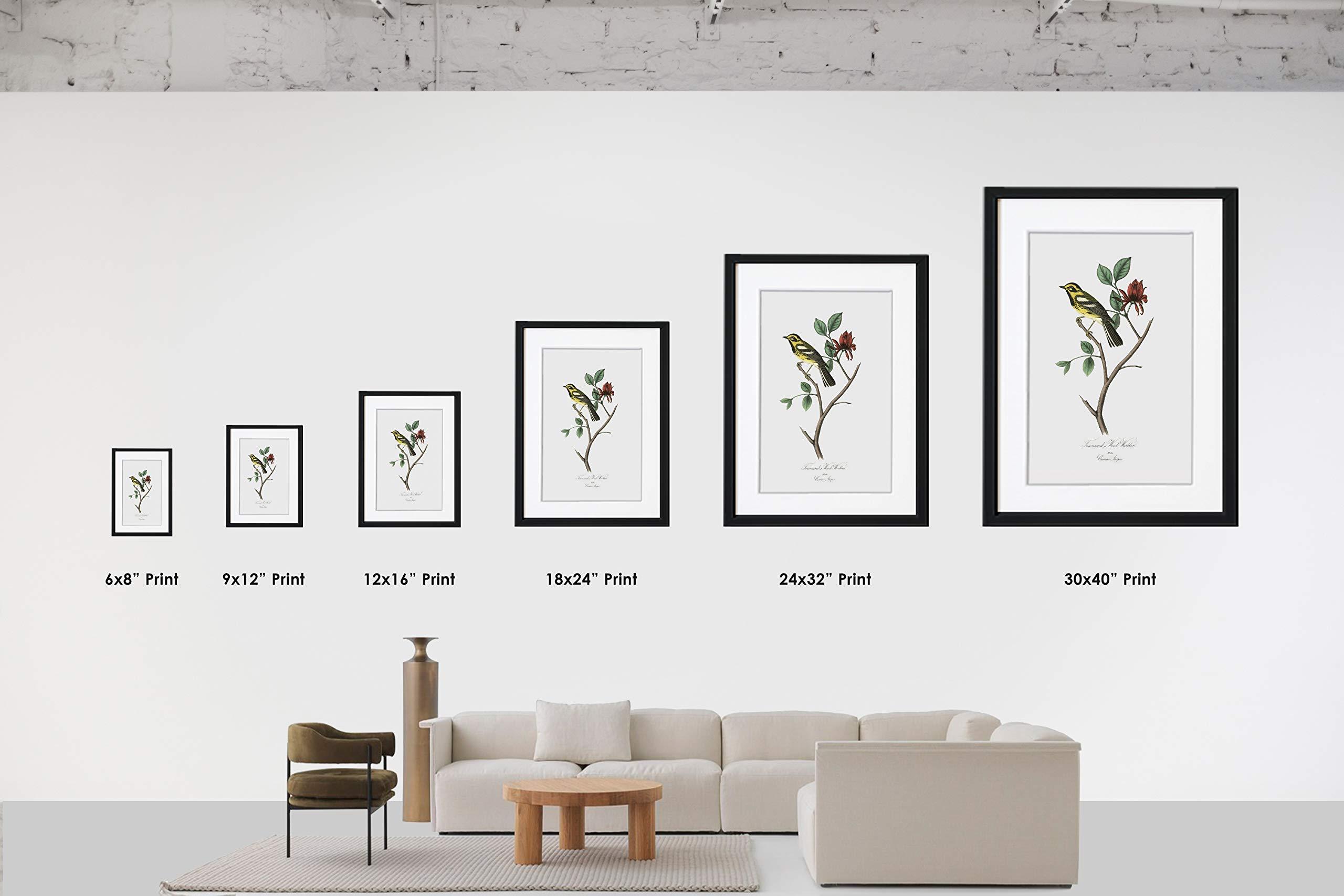 LIVESTOCK LIVESTOCK Stan the Tire Man Statue on Broadway in Mount Vernon, Illinois