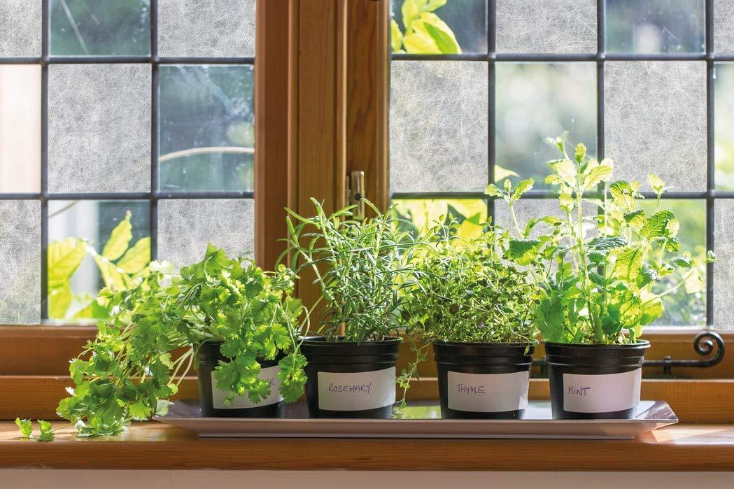 d-c-fix d-c-fix Window Privacy Film Ricepaper Premium Static Cling Removable Two Way Day and Night Sun UV-Blocking Decorative Vinyl Covering for Bathroom, Home & Glass Door - Decal Sticker 35.4\" x 59\"