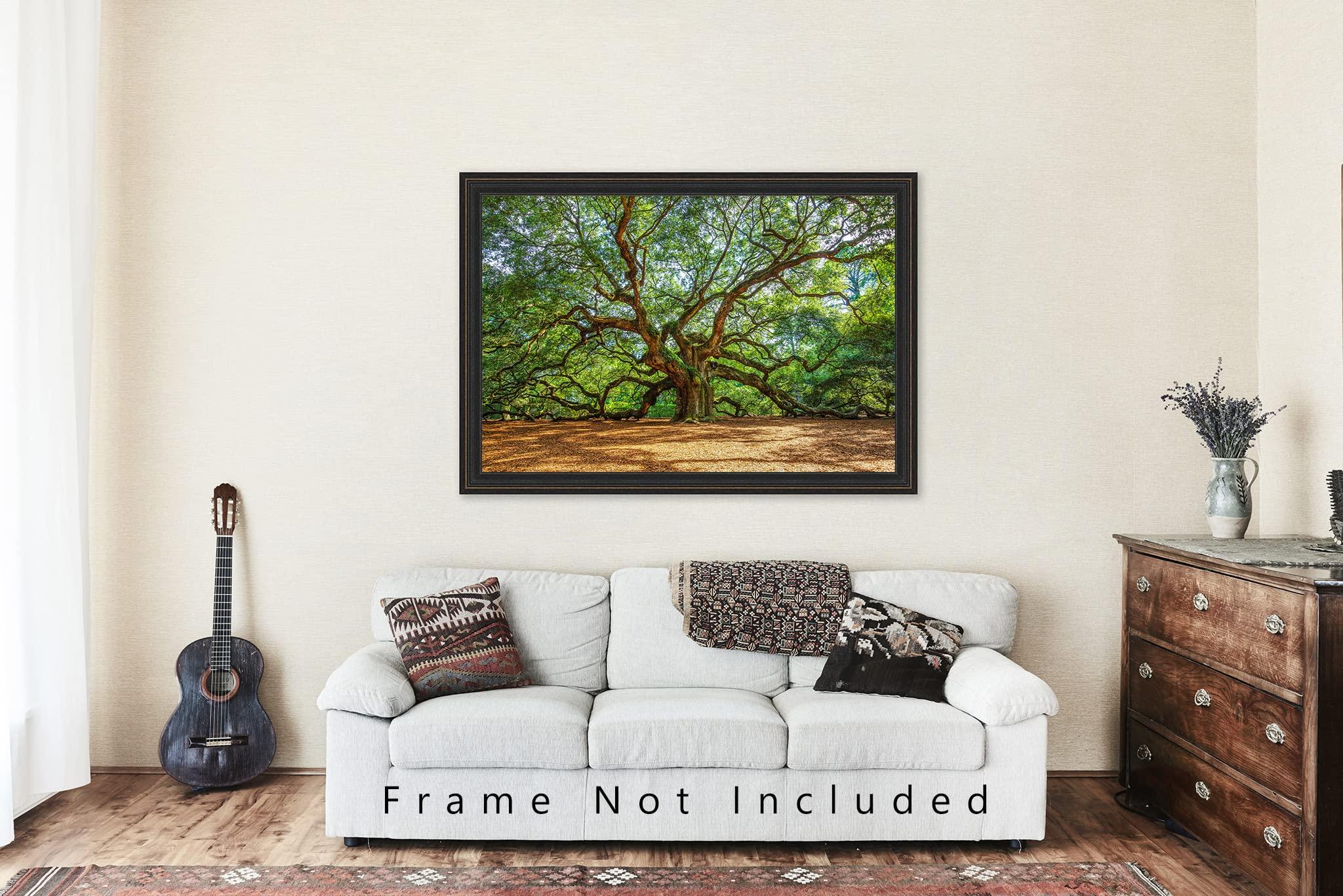 Southern Plains Photography Nature Photography Print (Not Framed) Picture of Angel Oak Tree on Summer Day near Charleston South Carolina Southern Wall Art Lowcountry Decor (16\" x 24\")