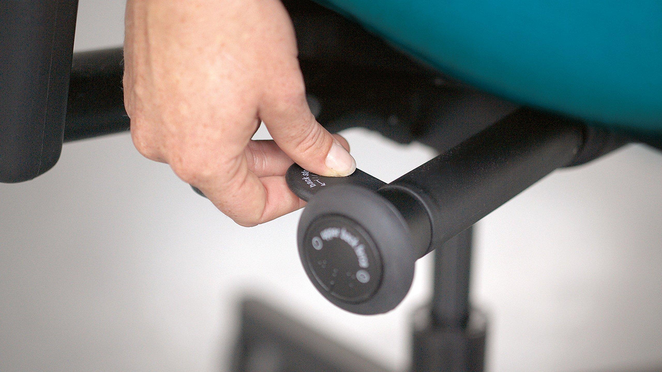 Steelcase Steelcase Leap Task Chair: Polished Aluminum Base - 4D Adjustable Arms - Headrest - Standard Carpet Casters