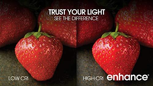 Feit Electric Feit Electric BPCFC25/927CA/FIL/2 25W EQ DM LED Candelabra Light Bulb, 2 Bulbs