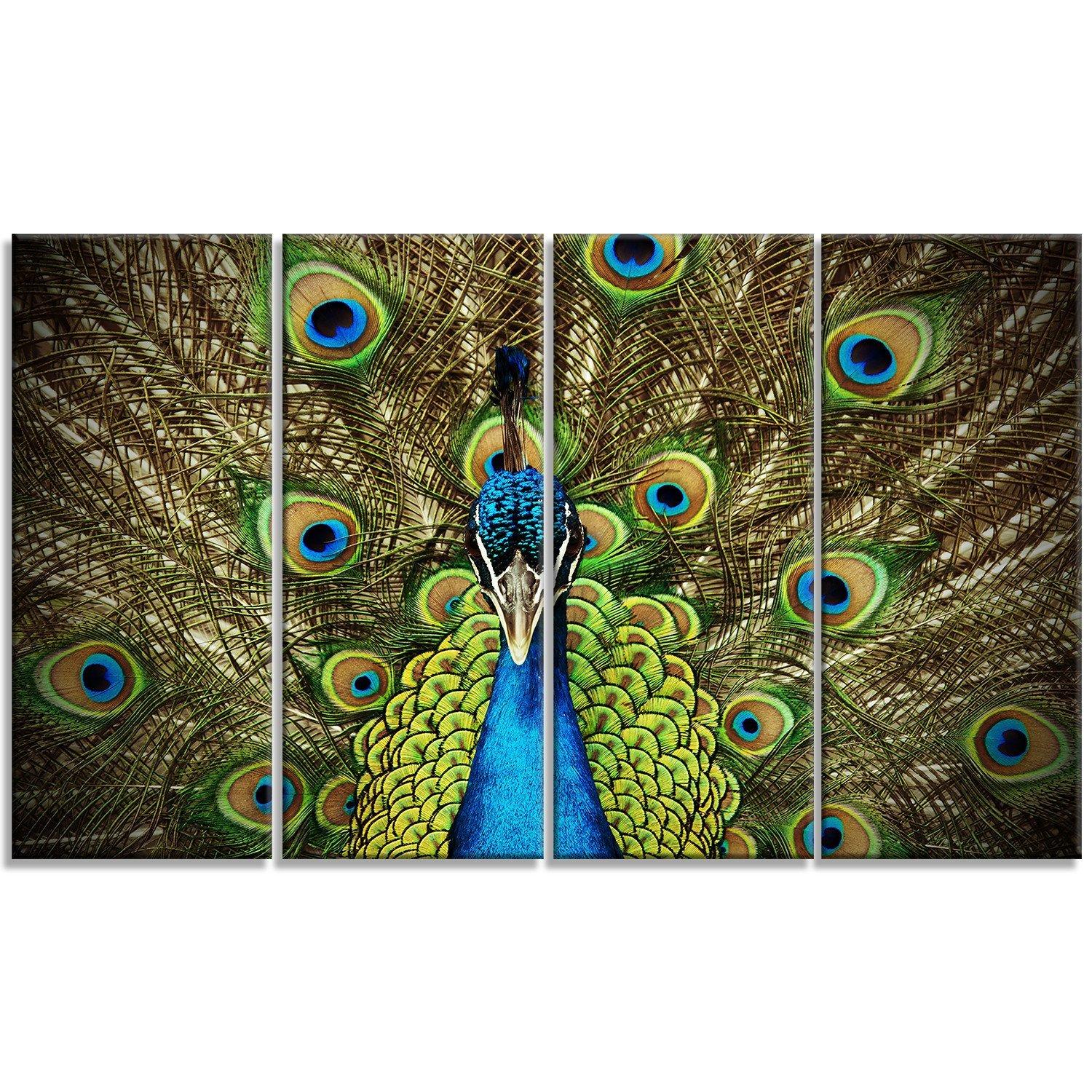 Designart Designart Grand Peacock-Animal Photography Metal Wall Art-MT6535-48x28-4 Panels, 28\'\' H x 48\'\' W x 1\'\' D 4P