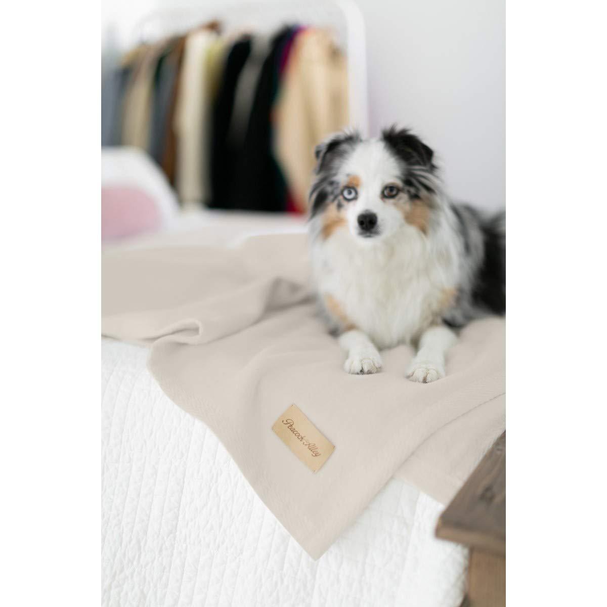 Peacock Alley Peacock Alley All Seasons Luxury Cotton Blanket 100% Long Staple Cozy Cotton Blanket for Sofa, Bed, and Crib - Twin/Twin XL, Flint