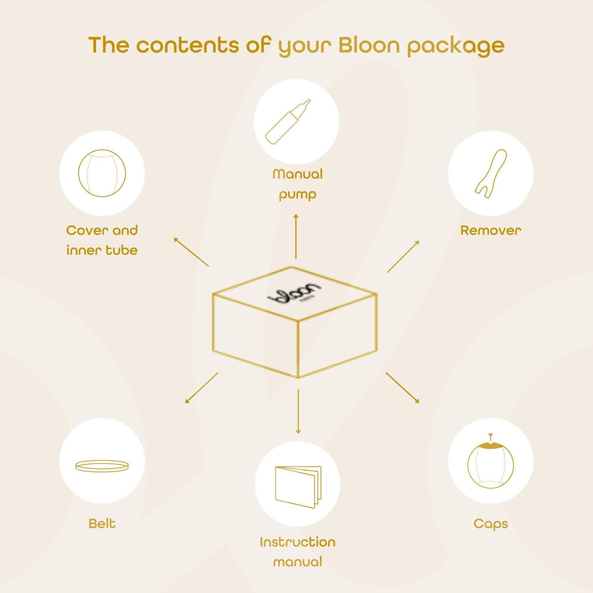 Bloon Paris Bloon Paris Ergonomic Sitting Ball Chair - Premium Desk Chair for Home and Office with Active Seating - Durable & Stylish Balance Ball Chair - Grey Platinium - Regular Size