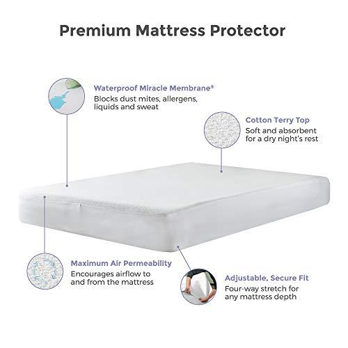 Protect-A-Bed Protect-A-Bed Premium Cotton Terry Cloth Waterproof Mattress Protector, Blocks Dust Mites and Allergens, Machine Washable, Queen