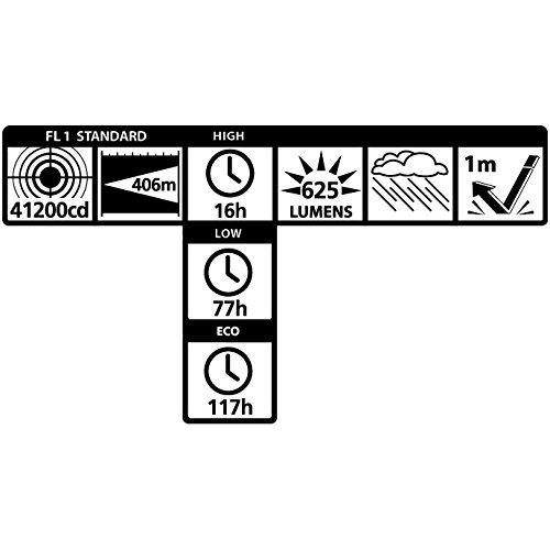 MagLite MagLite ML300L LED 3-Cell D Display Box, Black