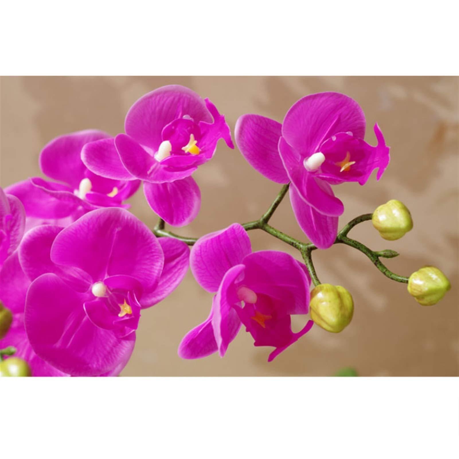 WYFZT White Stair Banister Handrail | Stair Rail Kit | Handrails for Stairs 1 2 3 4 5 6 metres, Stairway Railing | Hand Rails for Indoor Stairs Outdoor Step Wall Mounted (Size : 14ft/420cm)