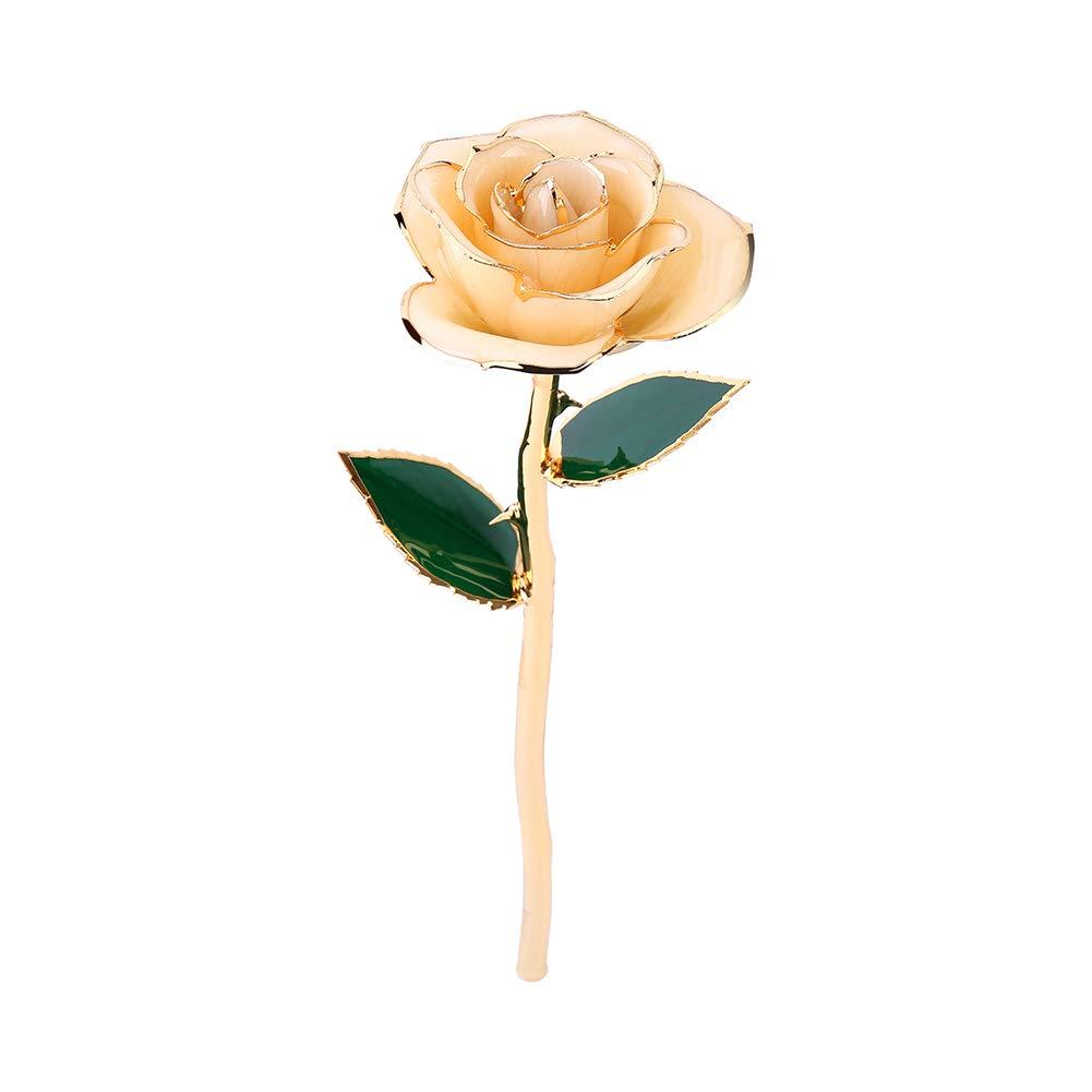 Jwthee Gold Dipped Rose 24k Real Rose, Love Forever Long Stem Gold Plated Rose Preserved Flowers Gifts for Women: Mothers Day, Valentines Day, Birthday, Anniversary, Thanksgiving Day
