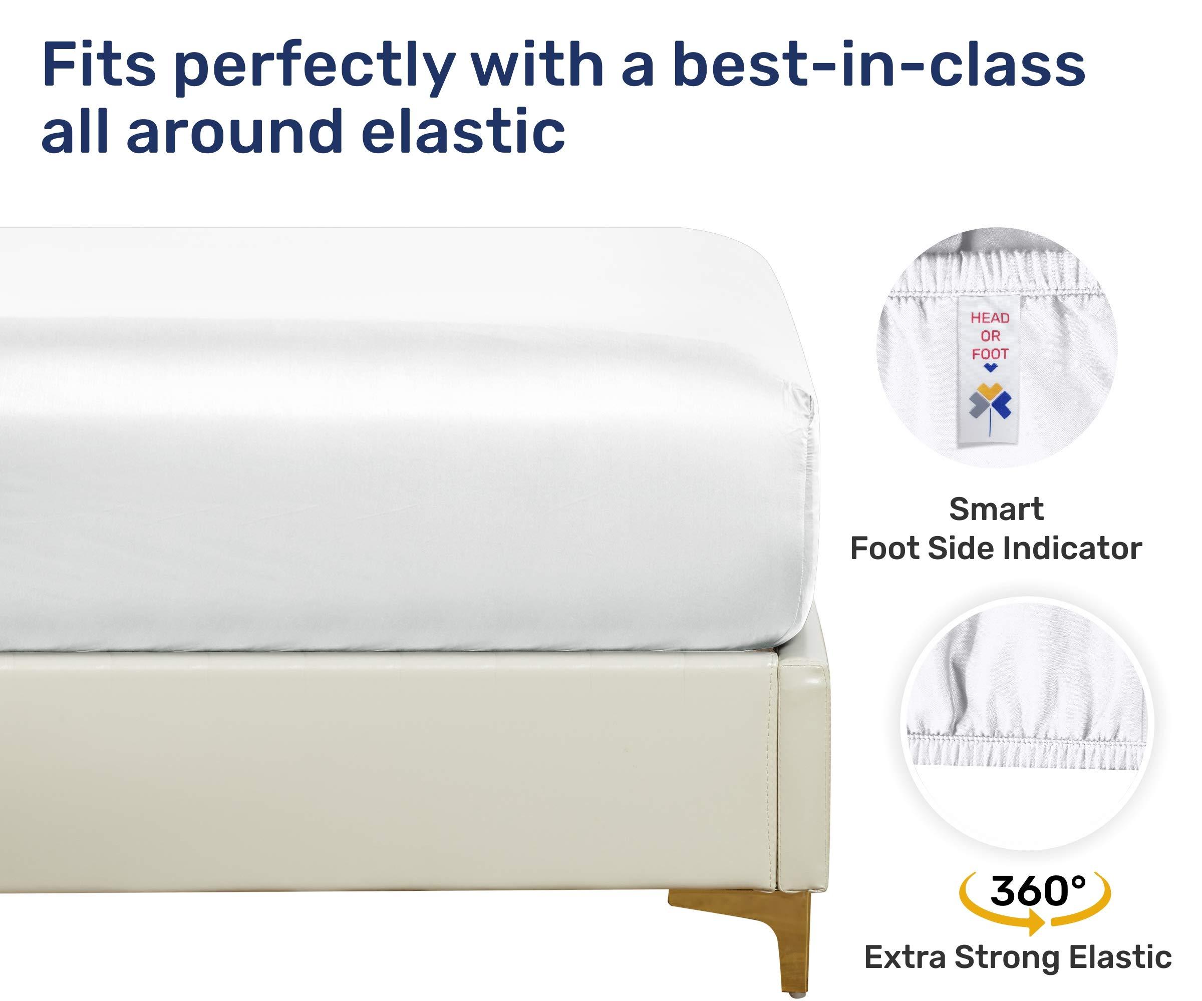 RBS BEDDING\'S RBS BEDDING\'S 800 TC Giza Cotton Sheet Set (4 Pcs) Giza Sheets Set - Hospital Twin (30 x 80) Aqua Blue Solid Fit Up to 13 inch Deep Mattress