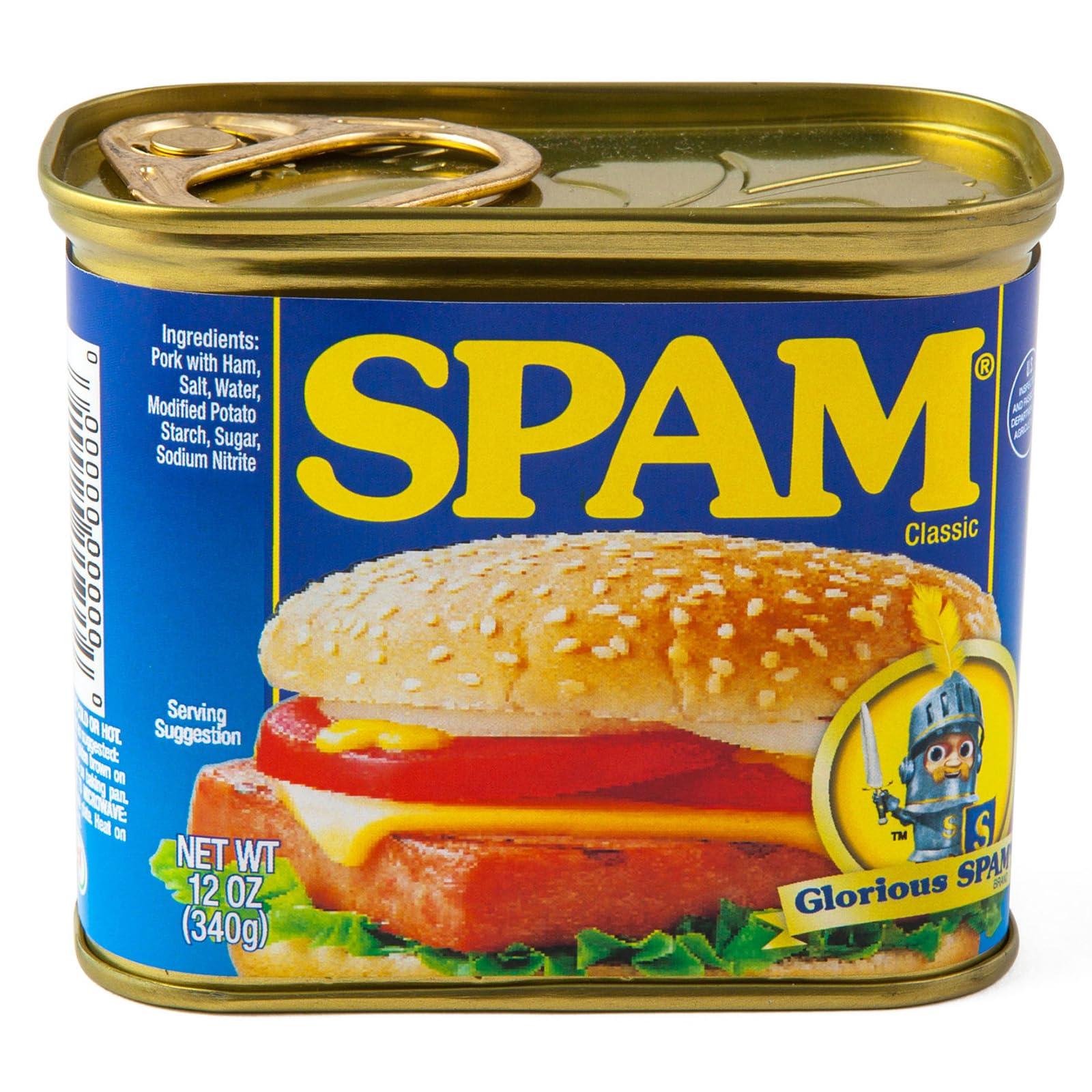 BigMouth Inc BigMouth Inc Fake SPAM Can Diversion Safe - Hidden Safe for Money Stash - Secret Compartment and Hidden Storage Fun Gag Gift Prank & Book Safe Alternative - 3\"x3\"x4.5\"