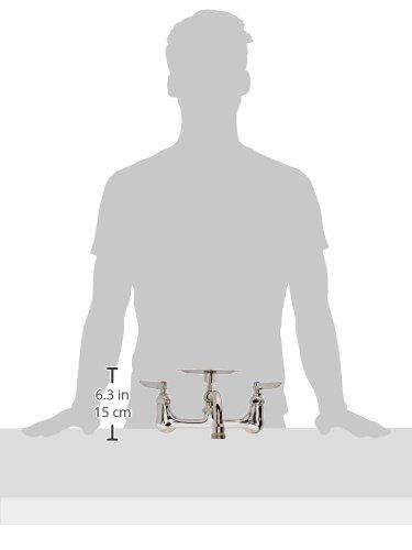 T&S Brass T&S Brass B-2484 8-Inch Wall Mount 6-Inch Swing Nozzle with Soap Dish Lever Handles Lavatory Faucet