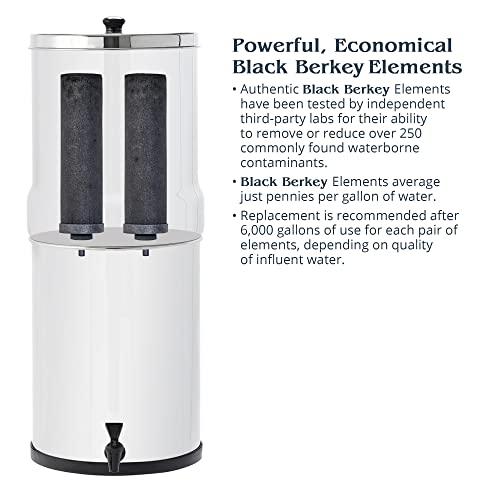 Berkey Berkey Light Gravity-Fed Water Filter with 2 Black Berkey Elements and 2 Berkey PF-2 Fluoride and Arsenic Reduction Elements