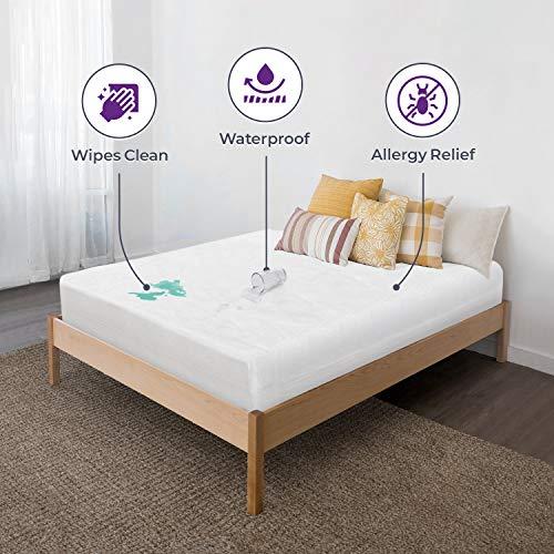 SHOPBEDDING Waterproof Mattress Protector Queen, Vinyl Plastic Mattress Protector Zippered, Heavy Duty Noiseless Plastic Mattress Cover Queen and Mattress Encasement, Queen Mattress Protector Waterproof- 9\" Depth