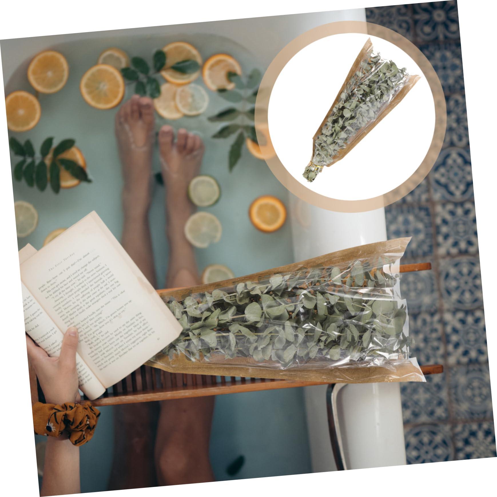 Ciieeo Ciieeo 1 Eucalyptus Shower Plant Real Eucalyptus Branches Dried Lavender Shower Preserved Eucalyptus Stem Lavender Bundles for Shower Dried Eucalyptus Stem Dried Flowers