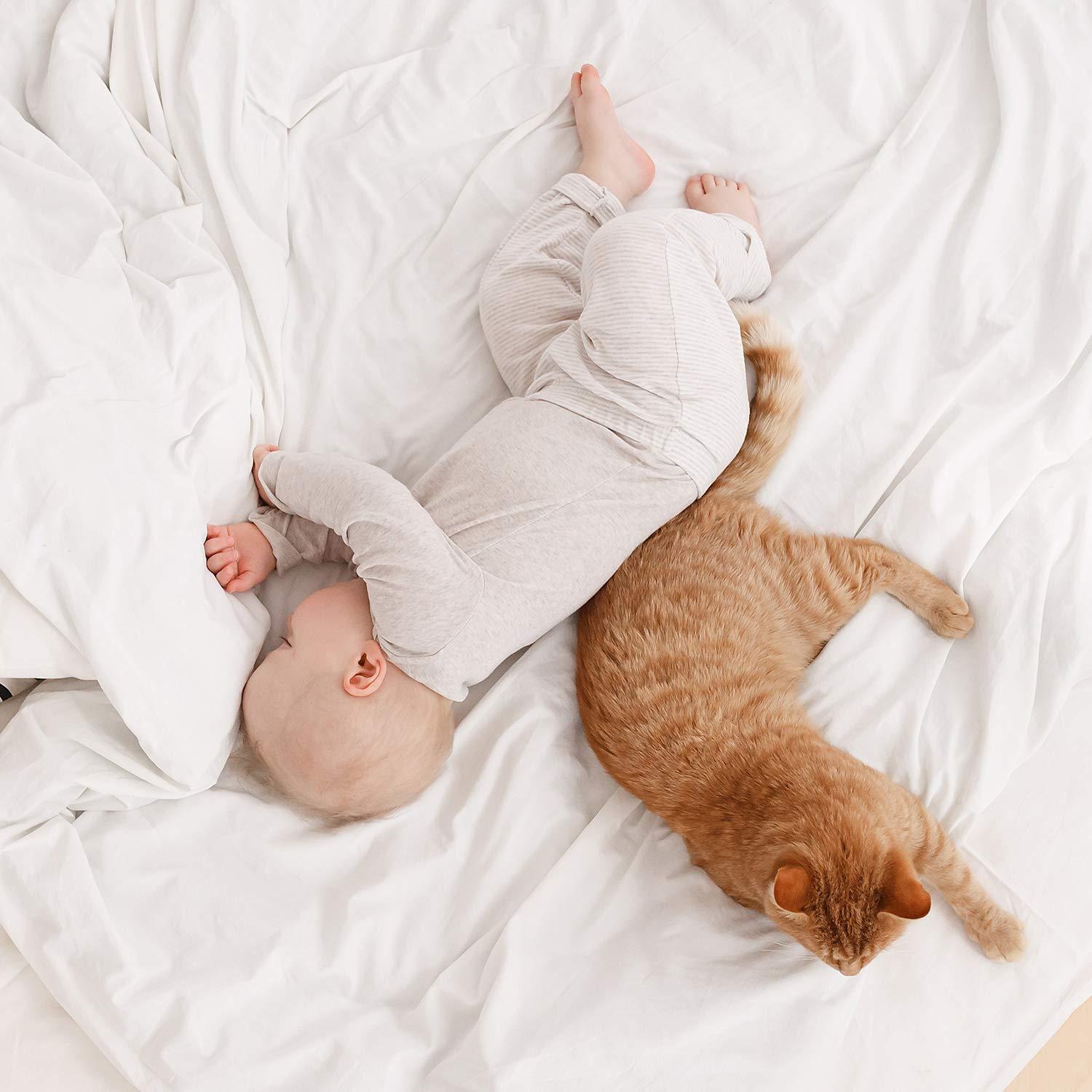 LaxLinen LaxLinen 4 PCs Sheet Set (+30 Inch) Extra Deep Pocket California/King-Cal King, Beige Solid 600 Thread Count 100% Egyptian Cotton