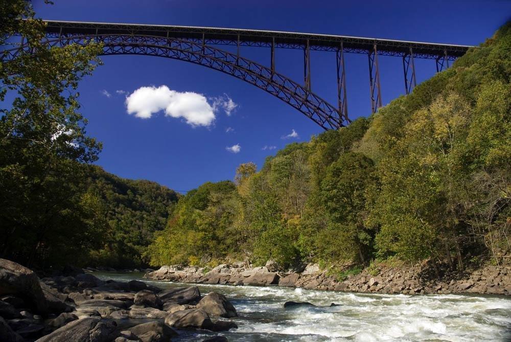 Grey Pneumatic Grey Pneumatic 2064D 0.5 in. Drive X 2 in. Deep