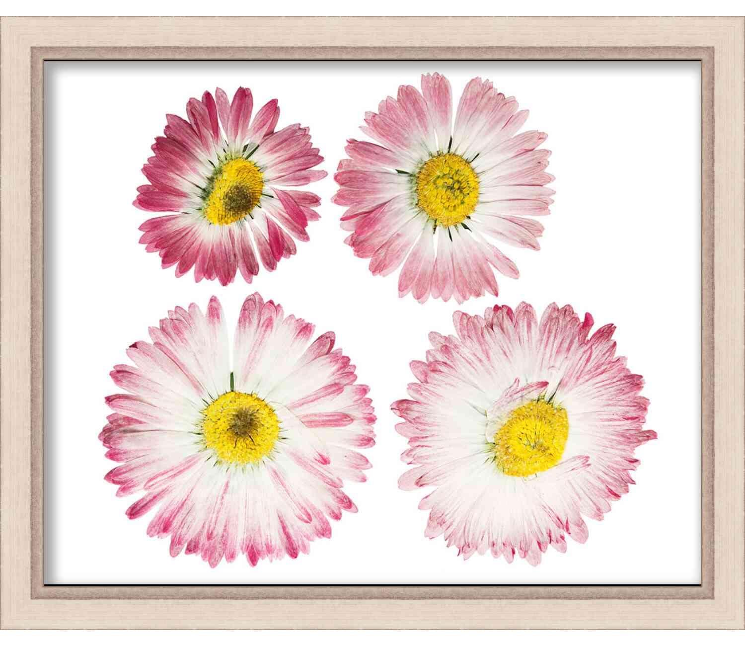 Poster Palooza 16x8 Silver Shadowbox Frame - Shadow Box Frame Interior Size 16x8 x 1.25 Inches Deep - Silver Frame Made to Display Items Up to 1.25 Inches Deep! Includes Shatter Resistant Acrylic, Backing, Hardware